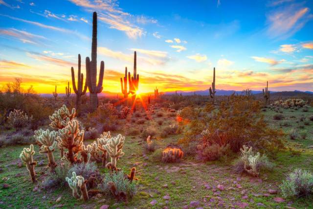 Arizona Arizona