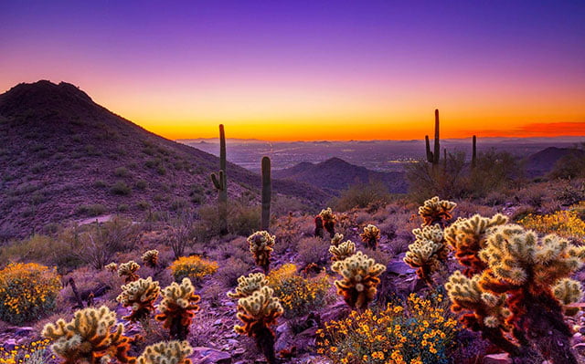Arizona Arizona